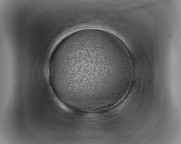 X0000115371511200911101236