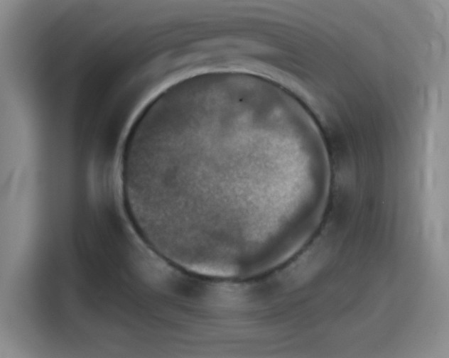 X0000115371514200911101236