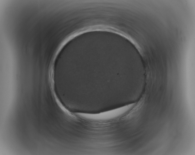 X0000115371515200911101236