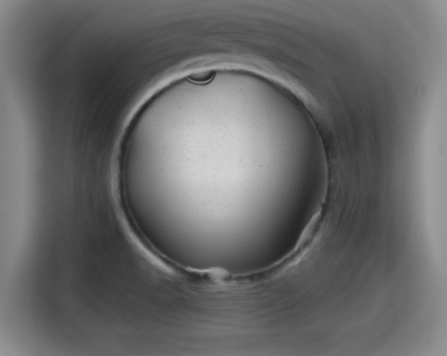 X0000115371518200911101236