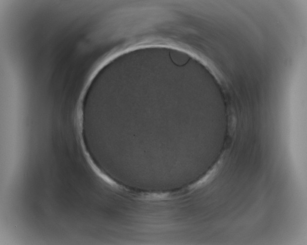 X0000115371519200911101236