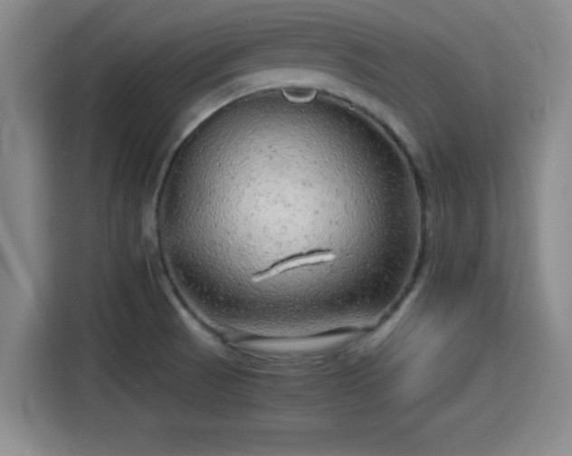 X0000115371521200911101236