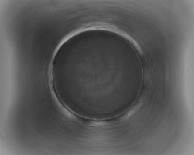 X0000115371522200911101236