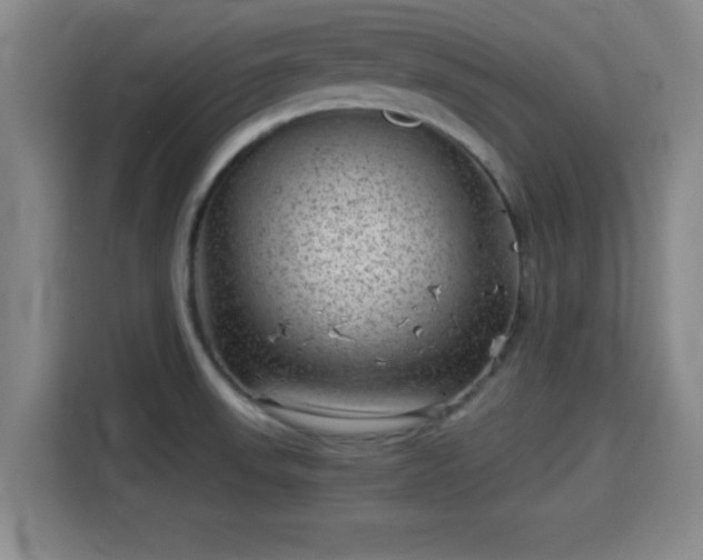 X0000115371523200911101236