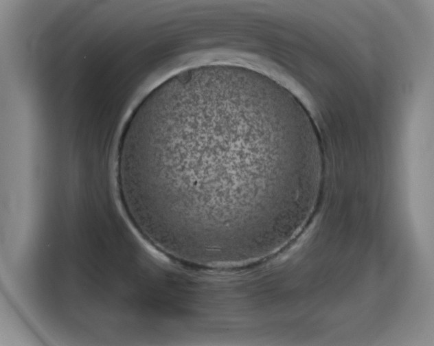 X0000115371525200911101236