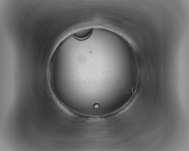 X0000115371526200911101236