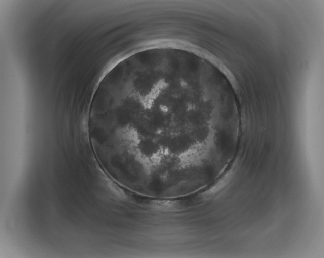 X0000115371529200911101236