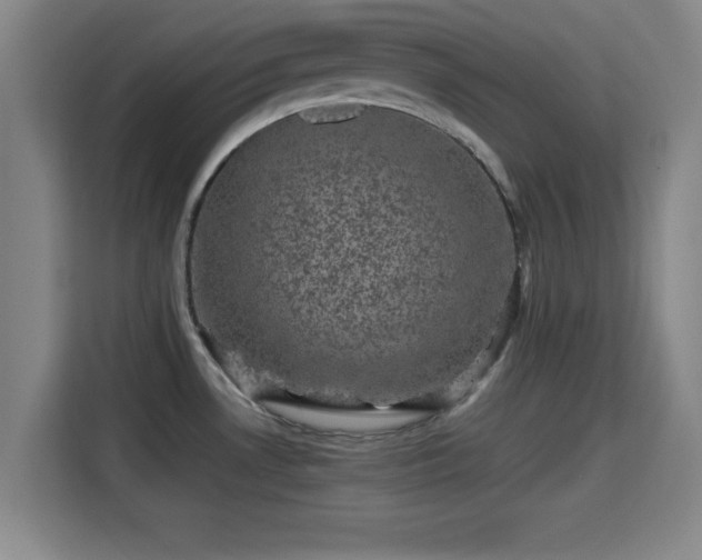 X0000115371530200911101236