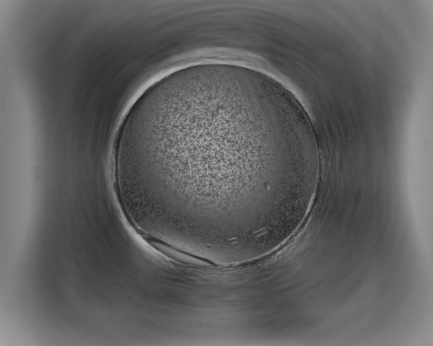 X0000115371531200911101236