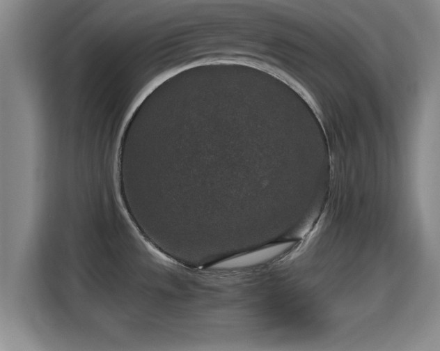 X0000115371533200911101236