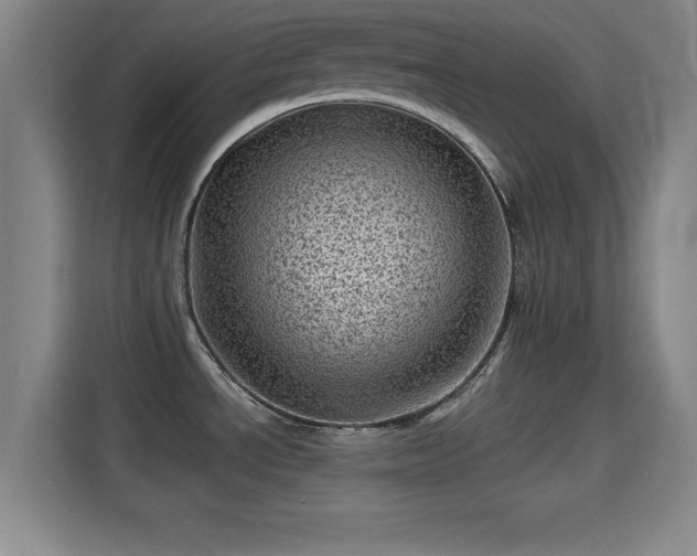 X0000115371534200911101236