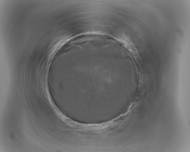 X0000115370001200911171424