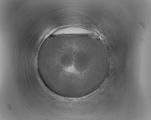 X0000115370002200911171424