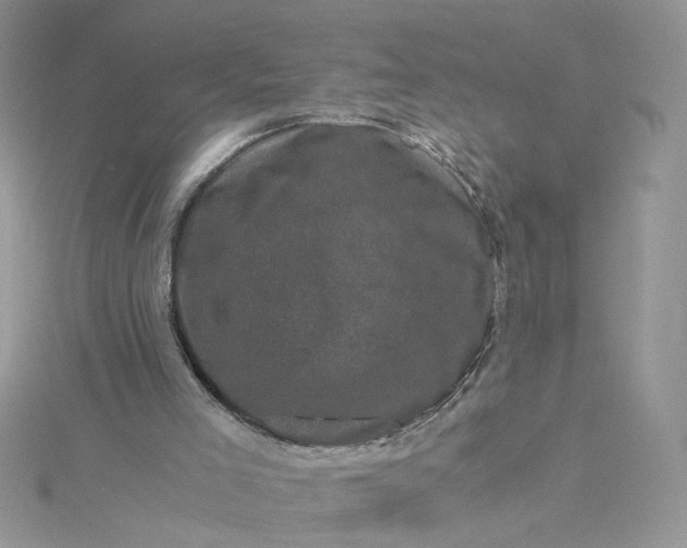 X0000115370005200911171424