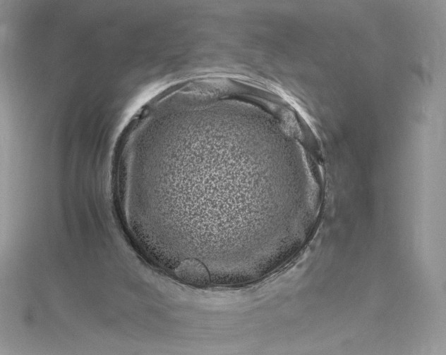 X0000115370008200911171424