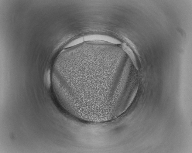 X0000115370020200911171424