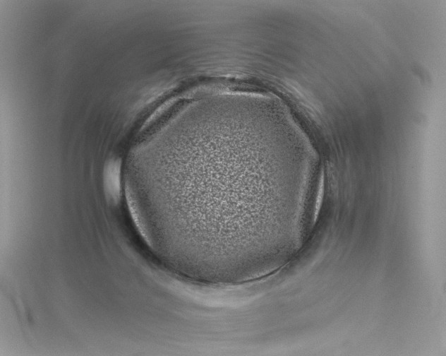 X0000115370028200911171423