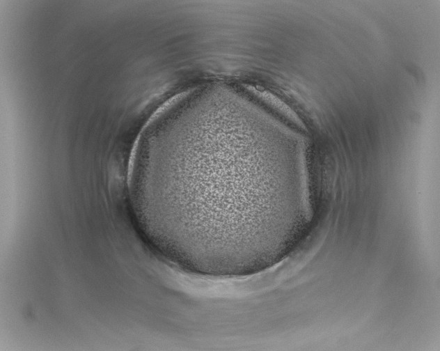 X0000115370040200911171423