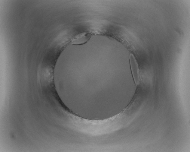 X0000115370043200911171423