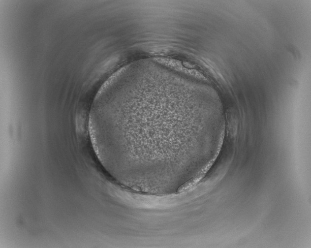 X0000115370044200911171423