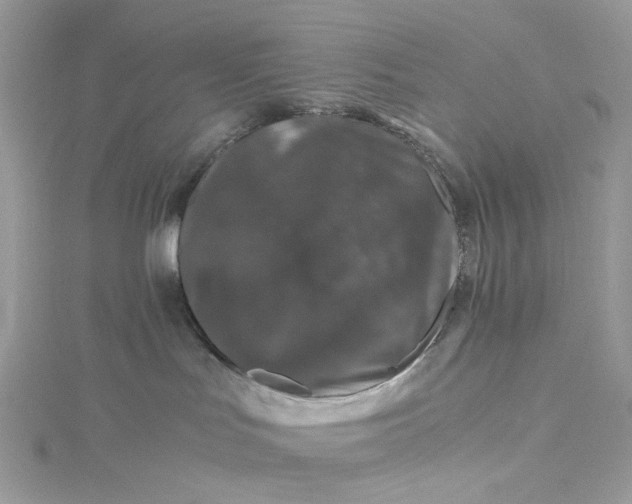 X0000115370047200911171423