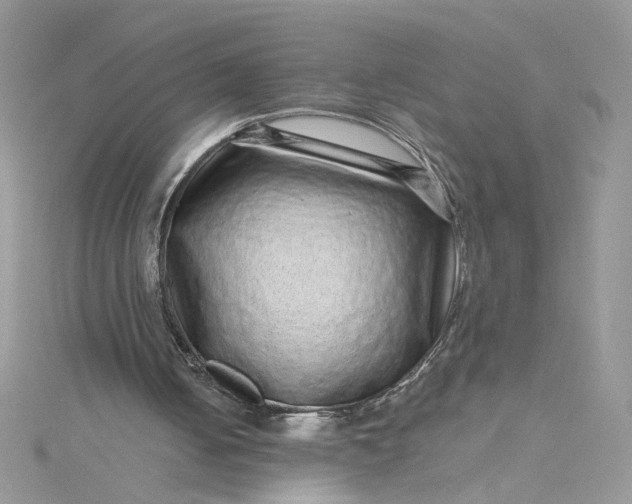 X0000115370050200911171423