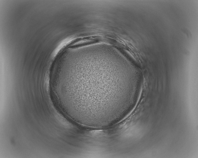 X0000115370054200911171423