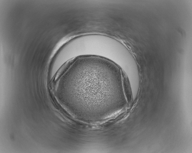 X0000115370056200911171423