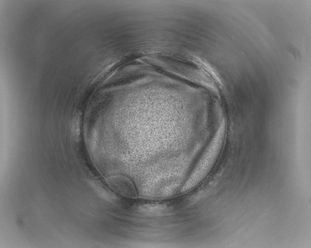 X0000115370065200911171423