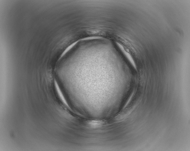 X0000115370085200911171423