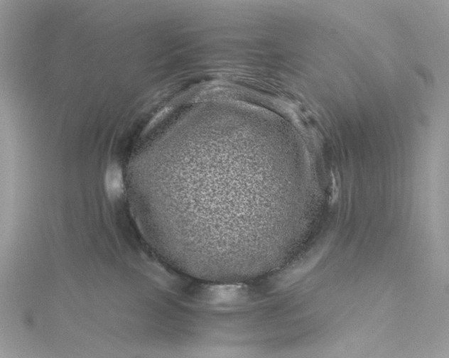 X0000115370089200911171423