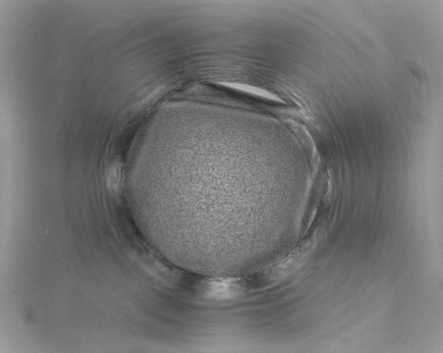 X0000115370093200911171423