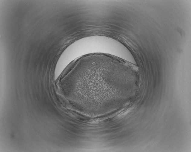 X0000115370096200911171423