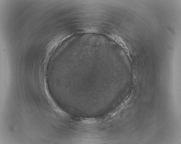 X0000115370097200911171423