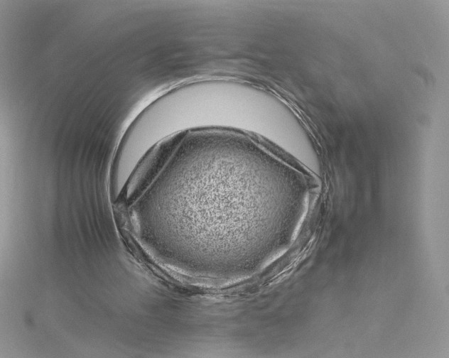 X0000115370100200911171423