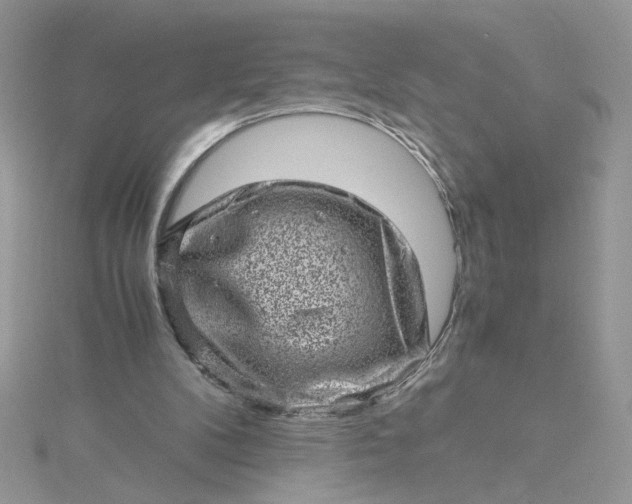 X0000115370104200911171422