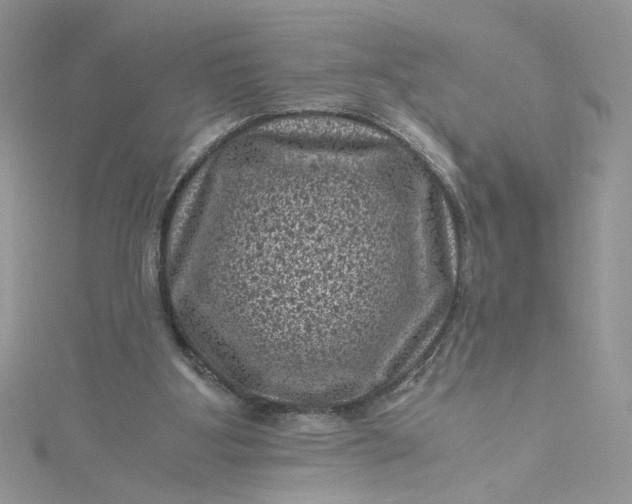 X0000115370107200911171422