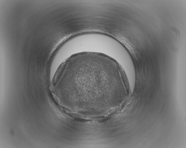 X0000115370112200911171422