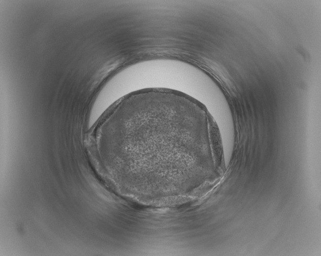 X0000115370120200911171422