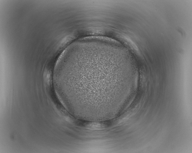 X0000115370123200911171422