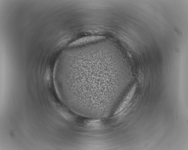 X0000115370132200911171422