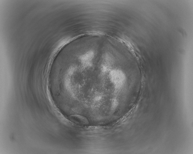 X0000115370145200911171421