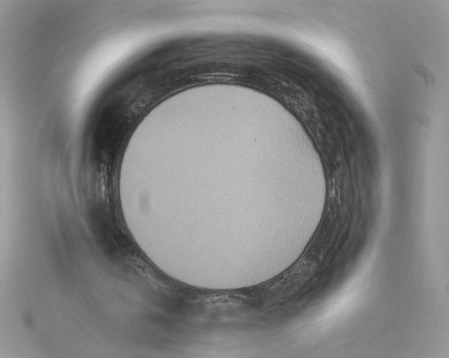 X0000115370146200911171421