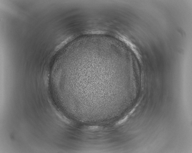 X0000115370153200911171421