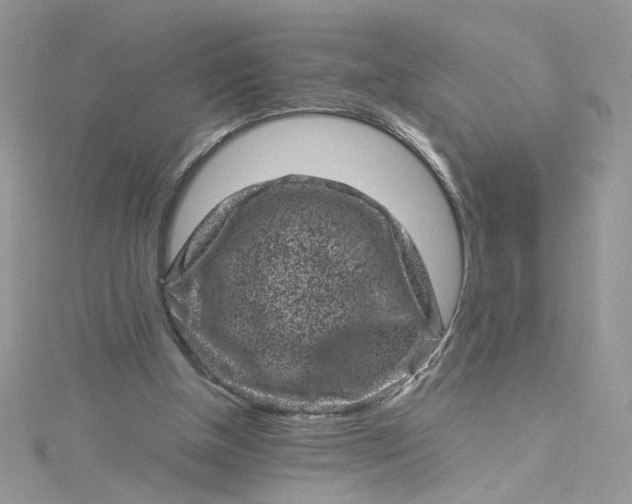 X0000115370154200911171421