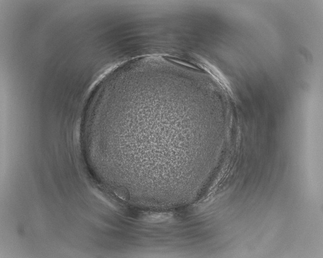 X0000115370155200911171421