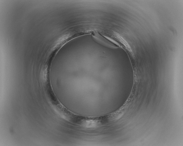 X0000115370163200911171421