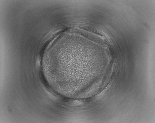 X0000115370166200911171421