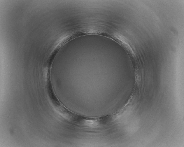 X0000115370167200911171421
