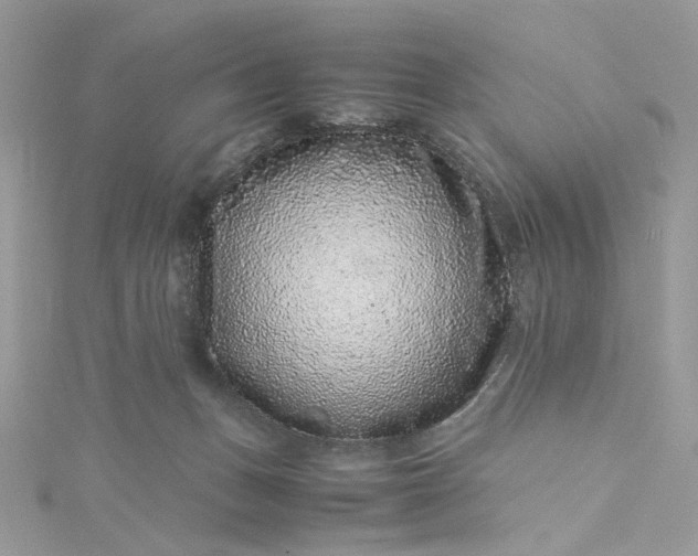 X0000115370175200911171422